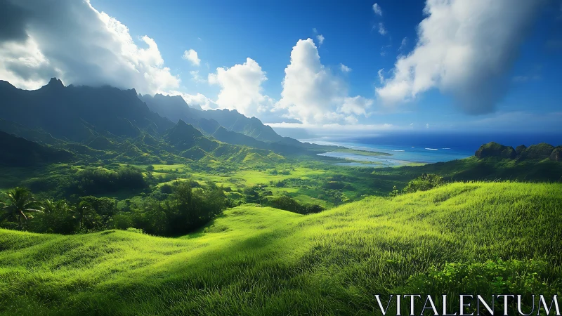 Sunlit tropical valley opening gently toward the bright sea.