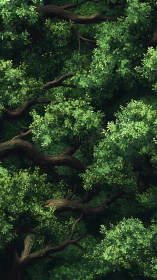 Twisted Branches Through Verdant Canopy.