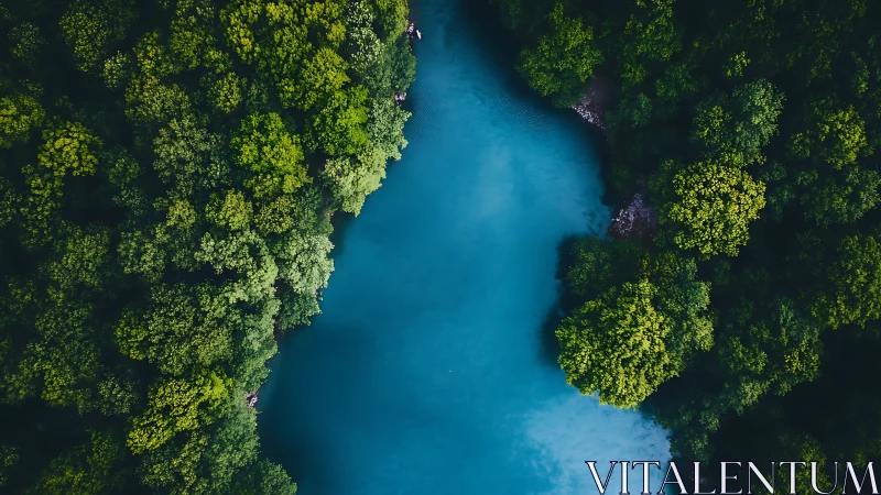 Turquoise River Cutting Through Dense Forest Canopy