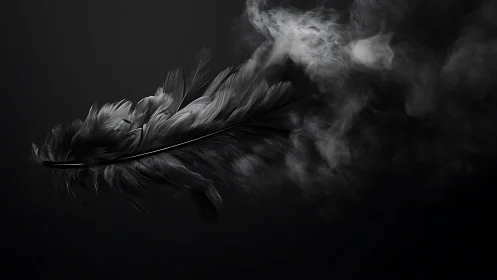 Black feather dissolves into drifting monochrome smoke.