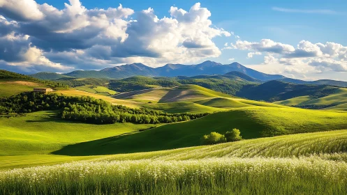 Sunlit rolling hills stretch toward distant blue mountains