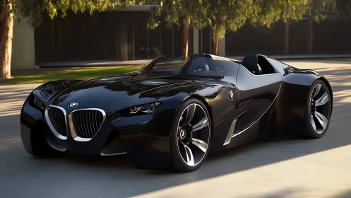 BMW concept roadster parked on sunlit paved driveway.