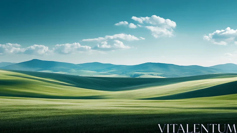 Rolling green waves quietly rehearse a symphony of light