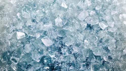 Crushed ice crystals glisten in a cool textured closeup.