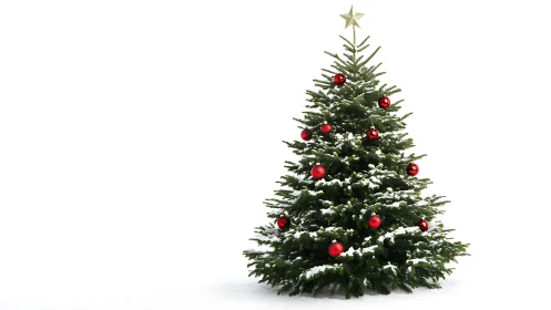 Snow covered Christmas tree with red baubles on white background