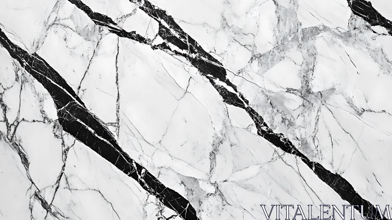 Macro analysis of white marble slab with bold dark veining.