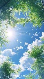 Bamboo canopy frames sky with direct sunlight and clouds