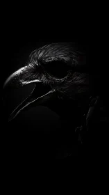 Midnight raven portrait in luminous black-on-black detail.