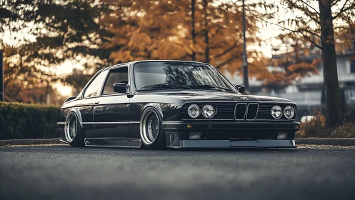 Lowered classic coupe with stance-optimized suspension geometry.