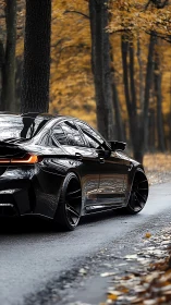 Sleek black sports sedan gliding through a quiet autumn road.