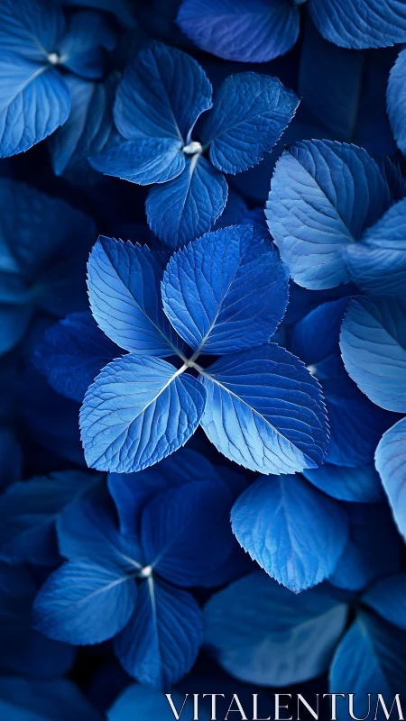 Monochromatic hydrangea leaf cluster in cobalt macro study.