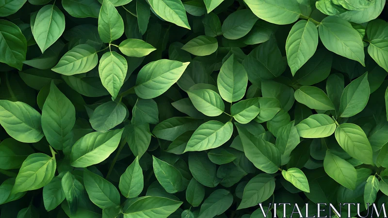 Gentle green leaves create a soft, soothing natural blanket