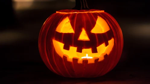 Glowing jack o’ lantern smiles warmly in the Halloween dark