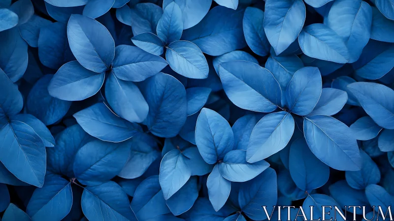 Blue leaves whisper quietly in a monochrome midnight garden