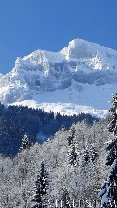Snowbound mountain ridge above frost covered forest canopy.