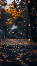 Golden leaves swirling above a dark forest pathway at dusk.