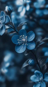 Delicate Blue Flowers in Peaceful Bloom.