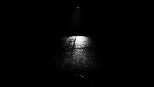 Isolated streetlight spilling onto wet asphalt in darkness.