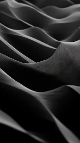 Monochrome undulating surface with layered curved forms.
