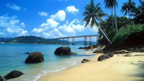 Coastal rail trestle intersecting tropical littoral environment.