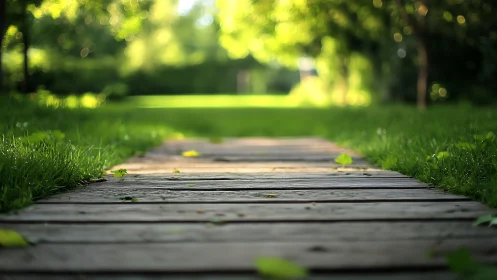 Sunlit garden boardwalk where quiet footsteps exhale calm.