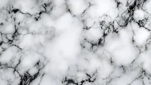 Clouded white marble texture with dark organic veining.