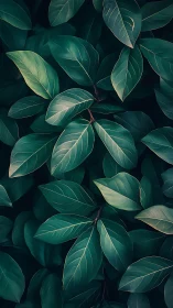 Velvet green leaves choreograph a quiet midnight forest pattern