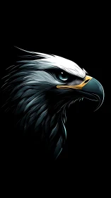 Midnight eagle profile carved from shadow and steel light.