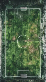 Weatherworn football field from above, where moss meets memory.