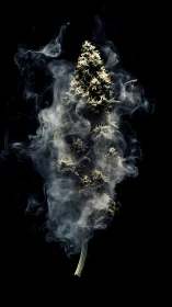 Smoky cannabis bud rising against deep black void backdrop.