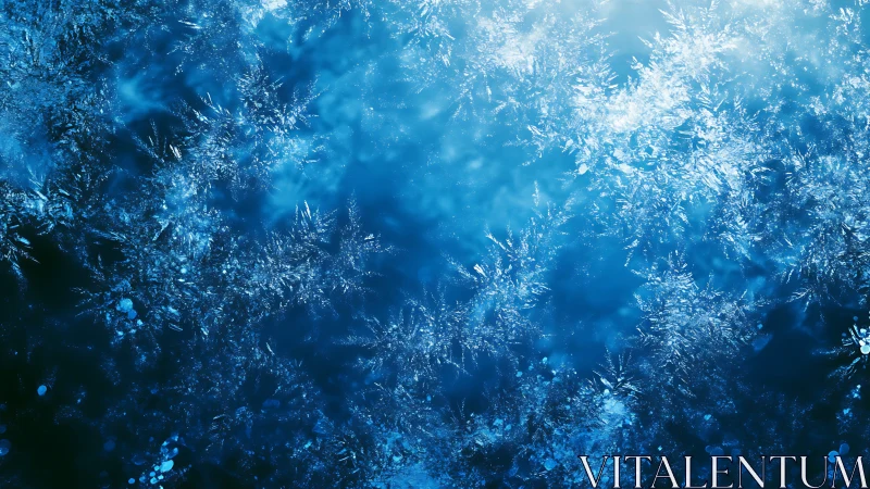 Macro crystalline frost pattern in luminous blue field.