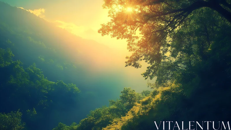 Sunlit forest valley wrapped in gentle golden morning glow.