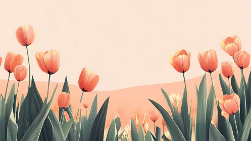 Serene Tulip Field Glowing in Warm Sunlight.