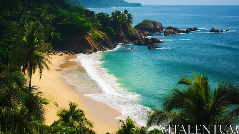 Where Jungle Whispers Meet Turquoise Dreams.