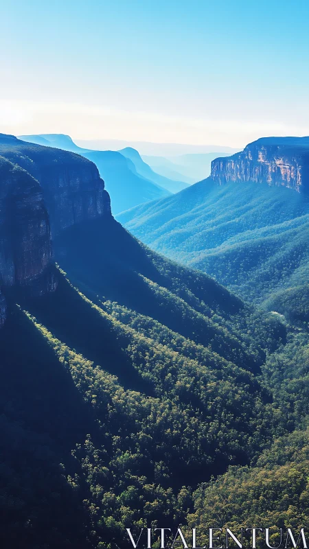 Sunlit forest canyon beneath layered blue ridges.