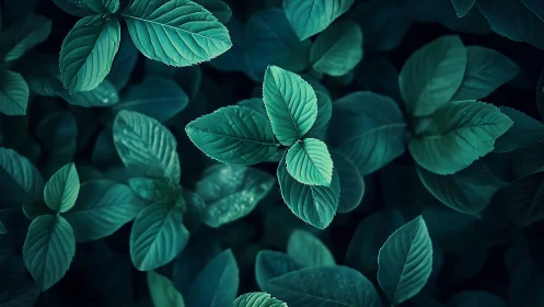 Mint foliage macro study with teal cinematic toning.
