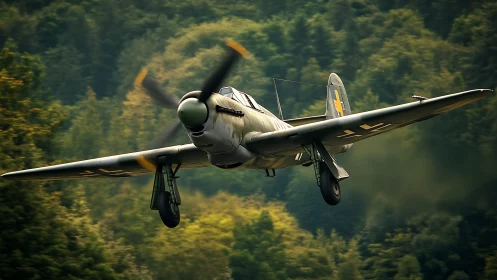 Low-altitude WWII fighter aircraft with extended landing gear