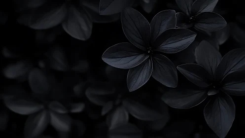 Dark monochrome floral leaves form clustered radial shapes