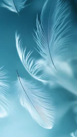 High-key macro study of floating white feathers in cyan field