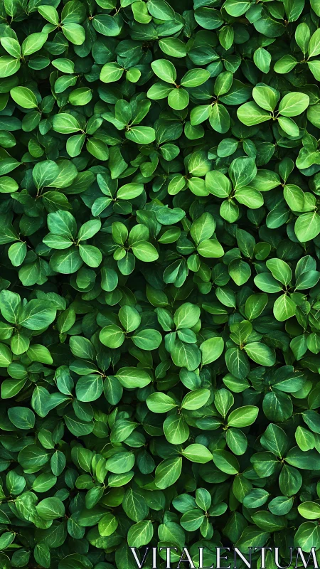 Leafy chorus of emerald foliage in a lush living tapestry.