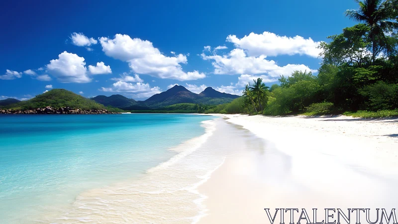 Turquoise Beach Cove with Mountain Backdrop