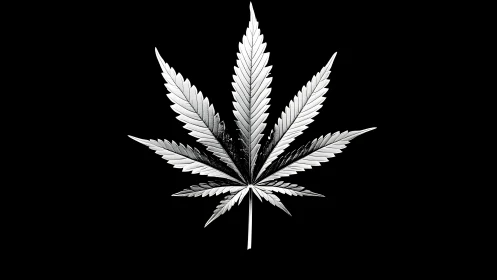 Monochrome cannabis leaf silhouette with high contrast lighting.