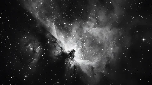 Monochrome nebula cloudburst with dense starfield glow.