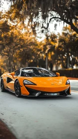 Orange supercar under golden foliage with cinematic depth.
