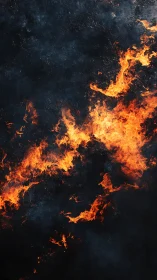 Active fire consuming dark surface material with orange flame distribution.