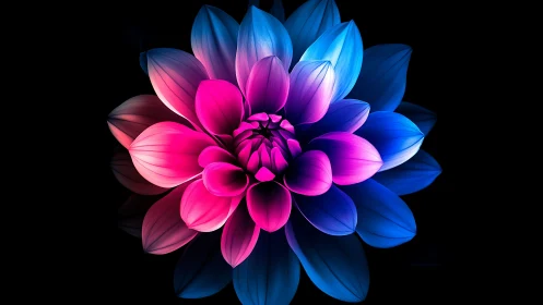 Luminous Bloom: A Radiant Gradient Flower in Motion.