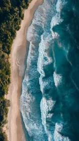 Sunlit shoreline and teal surf in vertical aerial view.