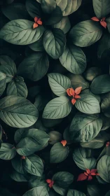 Quiet emerald leaves with tiny warm blossoms tucked within.