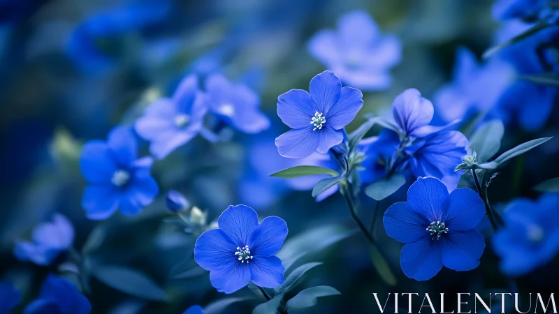 Midnight blue blossoms drifting through a dreamlike garden.