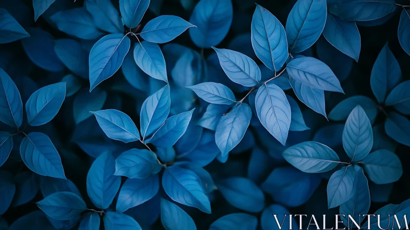 Monochromatic blue foliage matrix under soft diffuse lighting.
